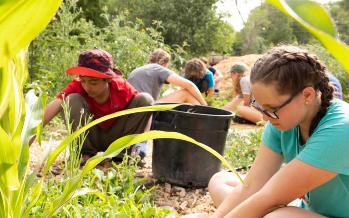 a group of students work in a garden during a service project with outward bound
